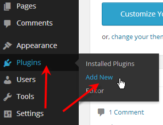 hover over plugins click on add new
