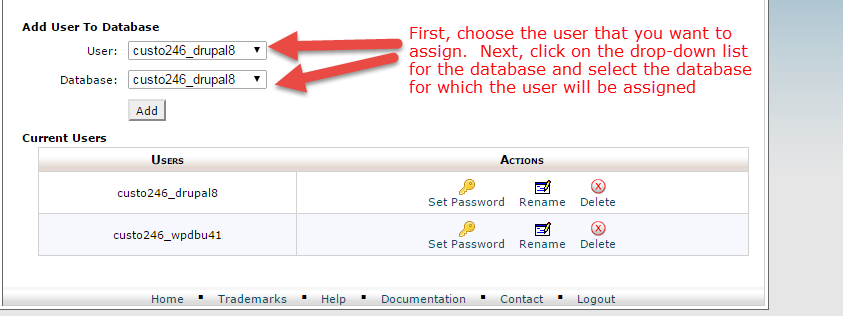 Add user to the database