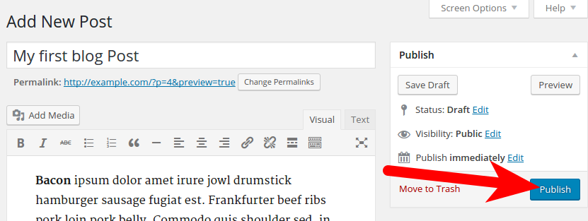 Publishing Post in WordPress