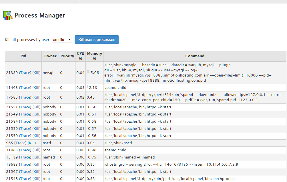 View of cPanel Process Manager