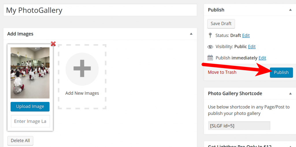 How to Install & Use the Lightbox Gallery Plugin in WordPress ...