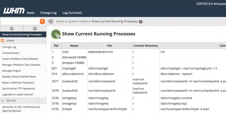 How to view Current Running Processes in WHM | InMotion Hosting