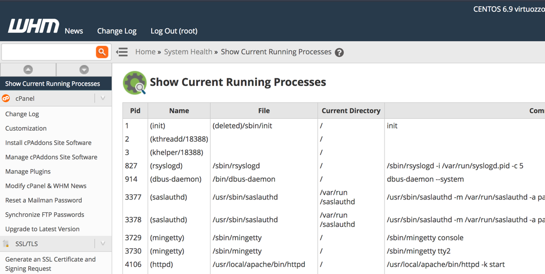 Main screen of the Show Current Running Processes option