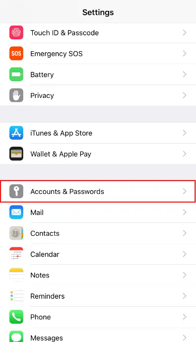 Settings Accounts & Passwords option highlighted