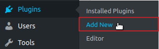 Plugins Add New menu option highlighted
