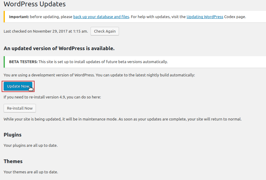 WordPress Updates Update Now button highlighted