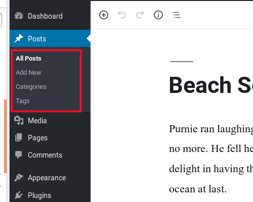 Edit Post in WordPress dashboard