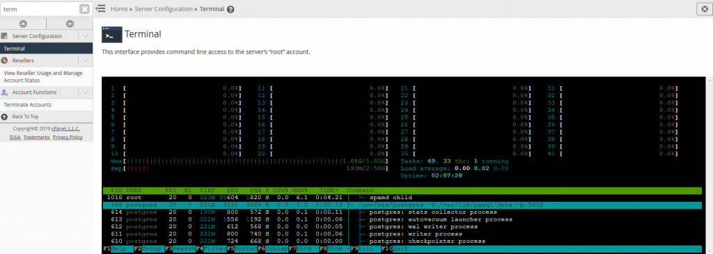 Htop in WHM Terminal