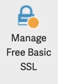 AMP SSL Icon