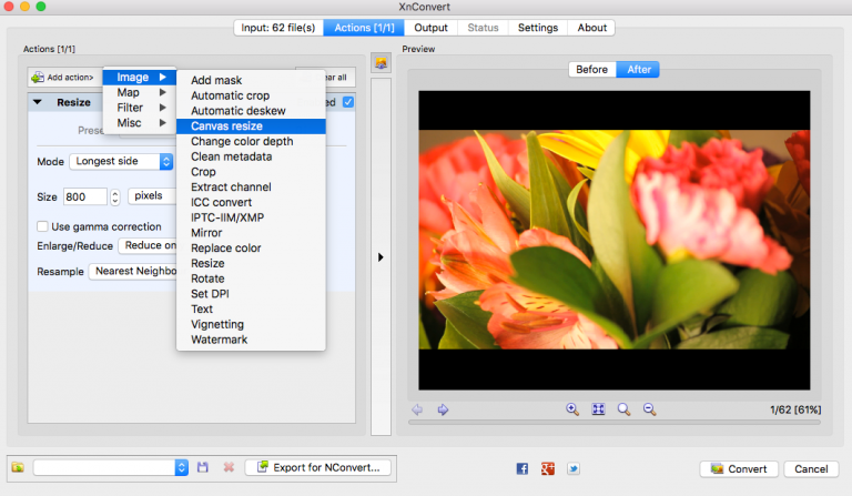 XnConvert Image Canvas Resize