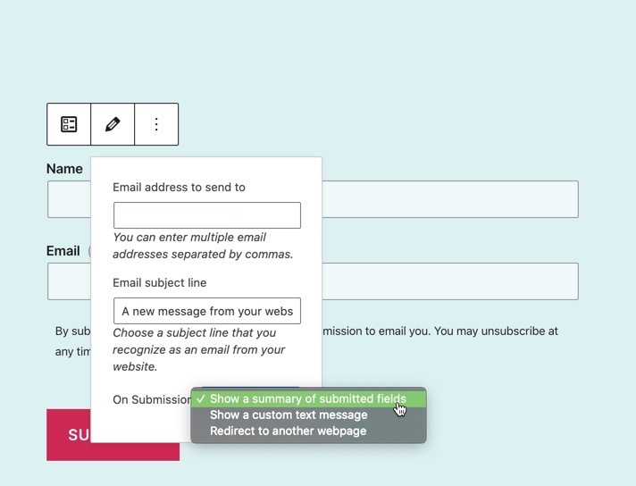 submission options for Newsletter sign-up form