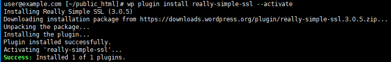 Install Really Simple SSL with WP-CLI