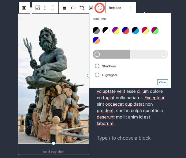 WordPress 5.8 Image block - duotone option in toolbar