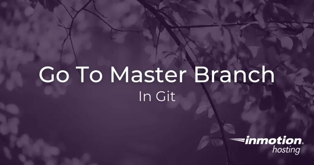 How to go to master branch in git