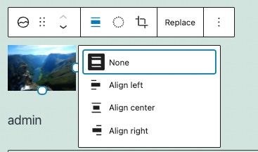 Alignment options for the site-icon