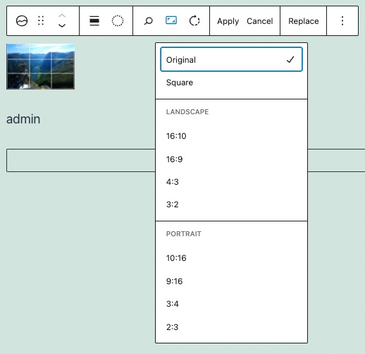 Aspect ratio options for the site icon block