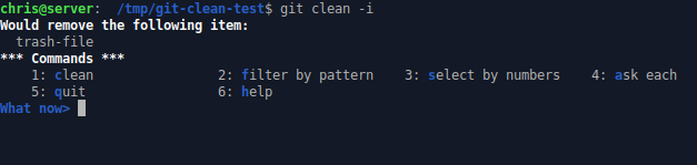 Git clean interactive options