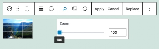 Zoom options for the site icon block