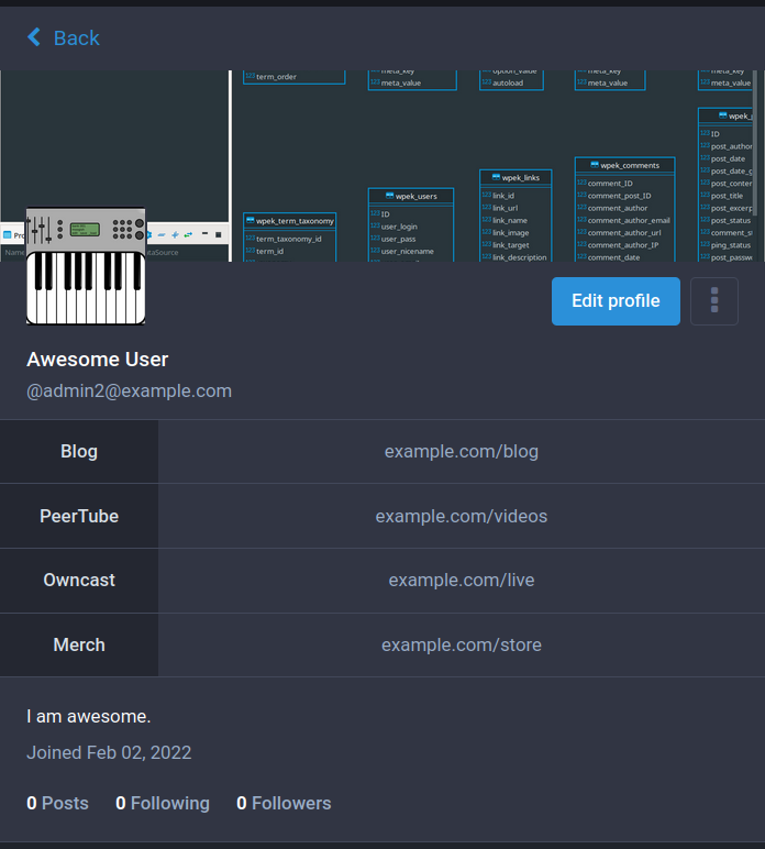 Example of complete of a Mastodon profile