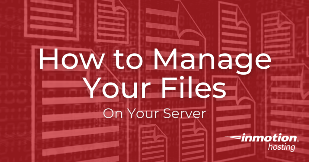 Learn How to Manage Your Files on Your Server