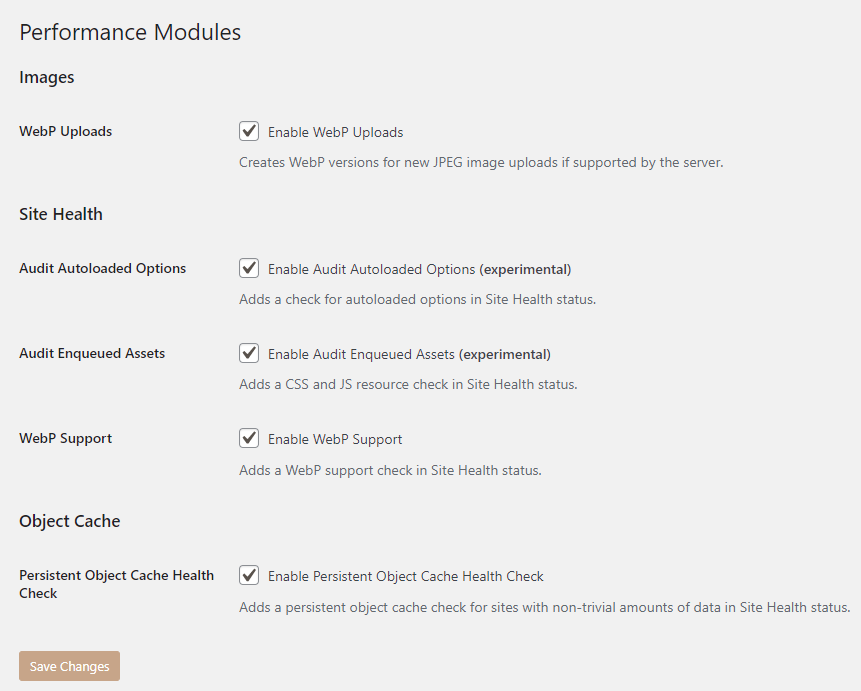 The Performance Lab modules can be found under the Settings section.