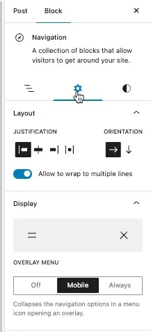 Settings options for Navigation icon