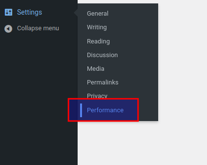 Finding the performance settings under the general settings dropdown menu