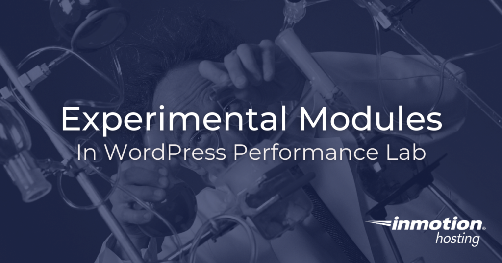 Using the experimental modules in the WordPress performance lab plugin