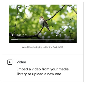 Video Block (generic) - use to embed video