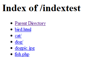a basic index page with default text display. H1 reads index of /indextest, with an unordered list of links reading Parent Directory, bird.html, cat/, dog/, dogpic.jpg, and fish.php. The first link is a different color than the other links indicating that it has been clicked on. 