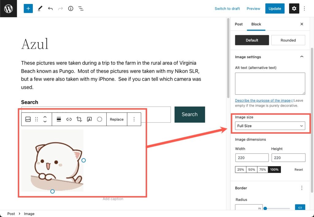 How to Add GIF Images in WordPress Posts - The HK Online