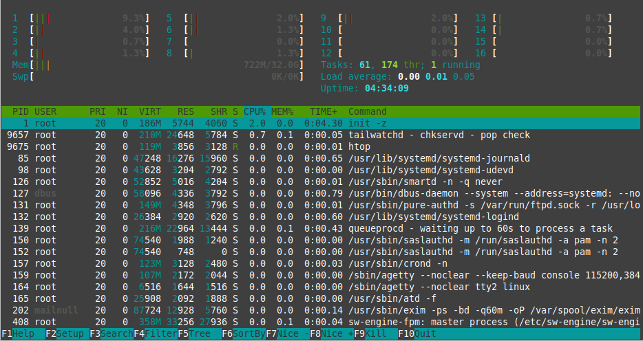 View of Running the htop Command