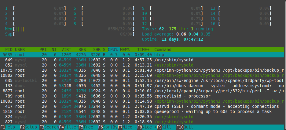 htop Results for Image1