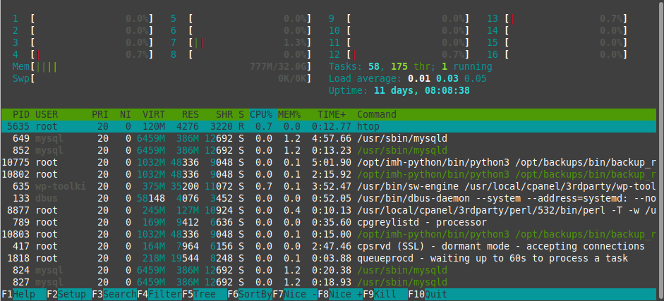 htop Results for a Very Large Image