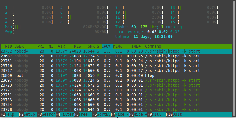 View ot htop Results for a New WordPress Site