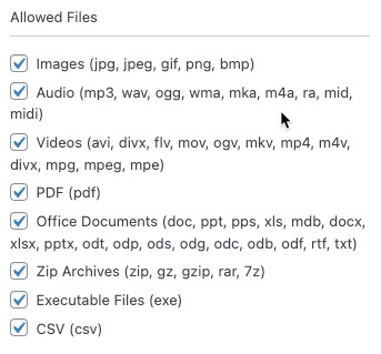 Allowed files that the upload field permits