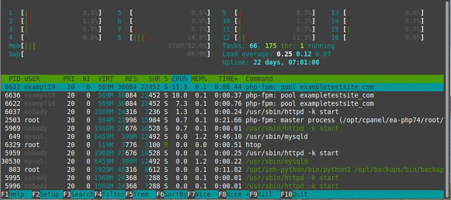 View ot htop Results for a New WordPress Site