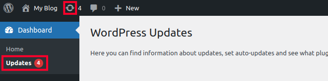 Accessing the WordPress Updates Page