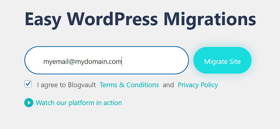 Migrate Guru entering email and accepting terms to begin migrating site with plugin