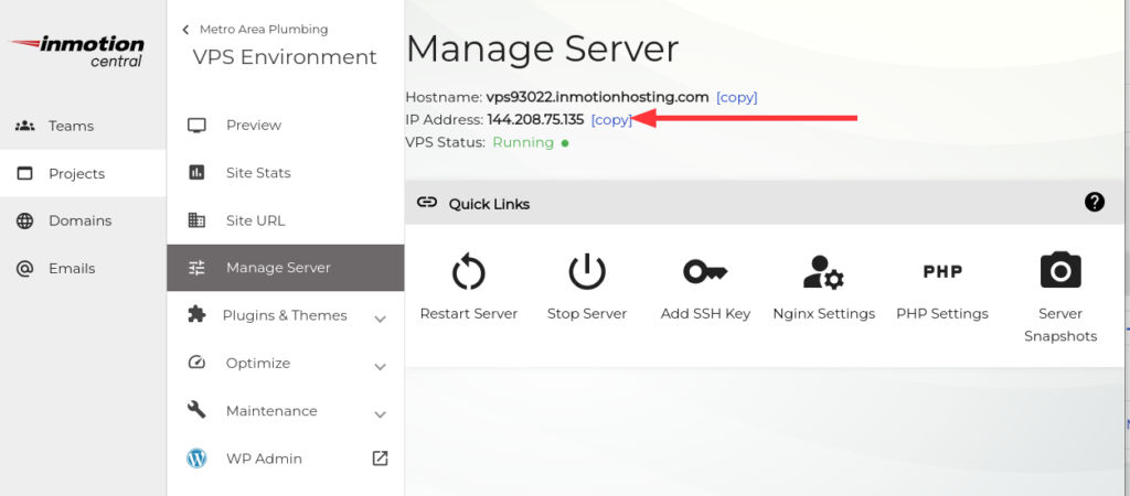 finding the IP address from the manage server screen