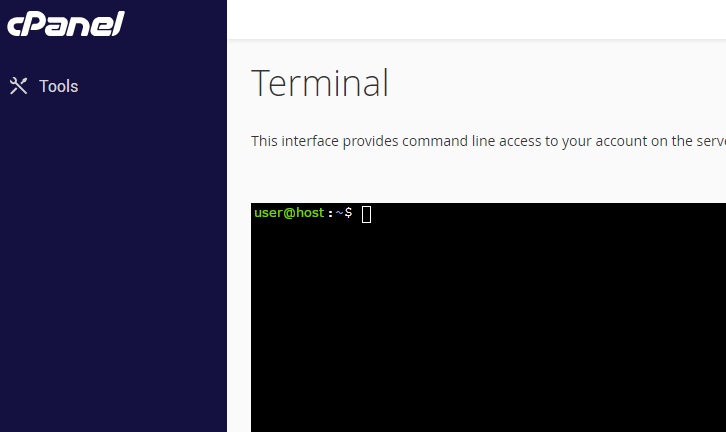 Screenshot of the terminal in cPanel
