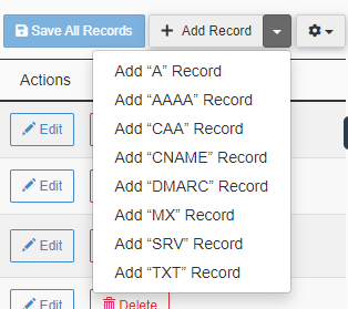 Zone Editor Add Record dropdown with Add TXT Record option selected
