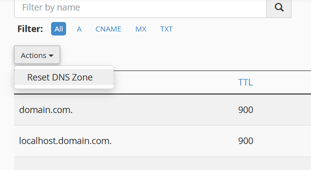 Actions dropdown in Zone Editor with Reset DNS Zone option highlighted