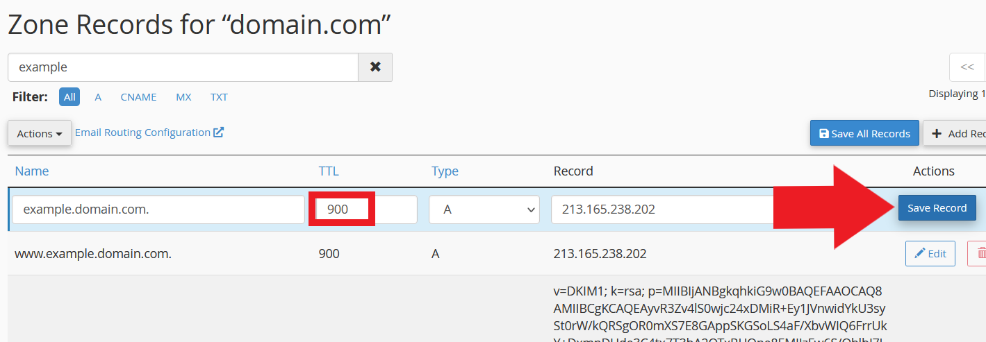 Zone Editor record edit form with the TTL field corrected to 900 and the Save Record button visible