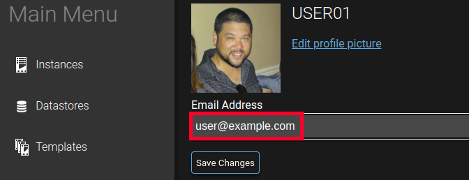 Email Address field on the Minecraft account profile page in the AMP game panel