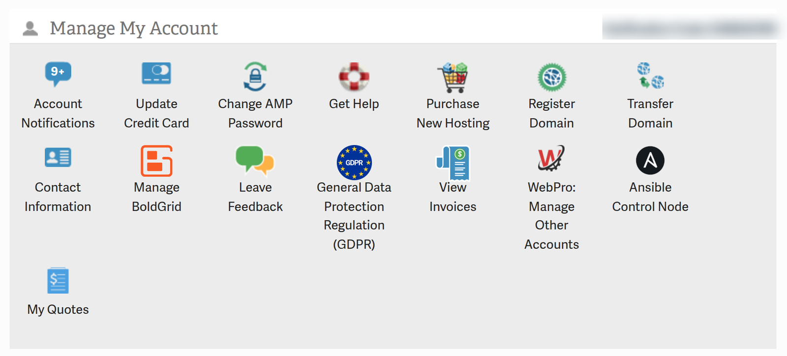 Register Domain icon in the Manage My Account section of AMP