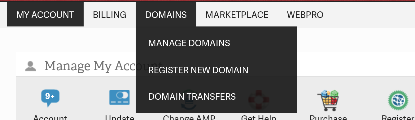 Register New Domain under the Domains menu in AMP