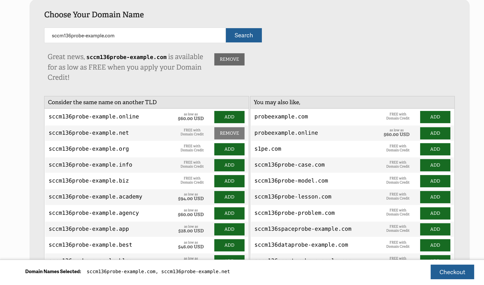 Domain Names Selected bar with the Checkout button in AMP